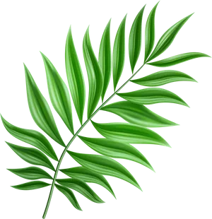 Vibrant Green Leaf Clipart PNG image
