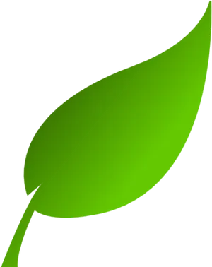 Vibrant Green Leaf Clipart PNG image