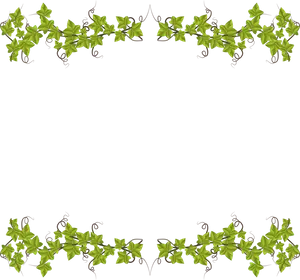 Vibrant Green Leaf Frame PNG image