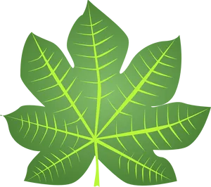 Vibrant Green Leaf Graphic PNG image