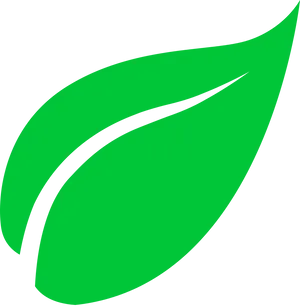 Vibrant Green Leaf Graphic PNG