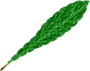 Vibrant Green Leaf Texture