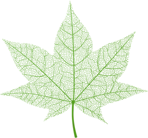 Vibrant Green Leaf Vector