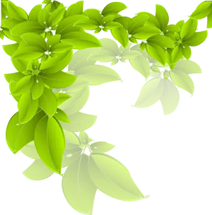 Vibrant Green Leaves Black Background PNG image