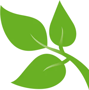 Vibrant Green Leaves Graphic PNG