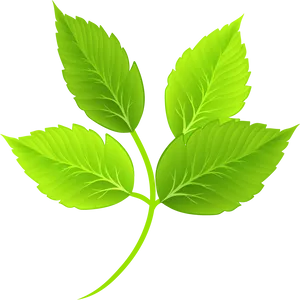 Vibrant Green Leaves Illustration