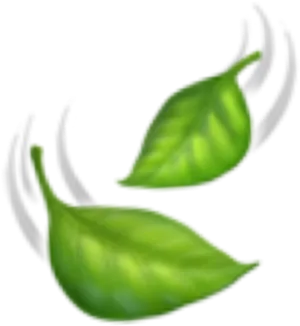 Vibrant Green Leaves Illustration PNG