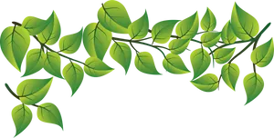 Vibrant Green Leaves Vector PNG image