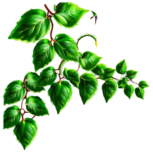 Vibrant Green Leaves Vine PNG image