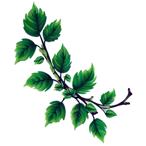Vibrant Green Leaveson Branch PNG image