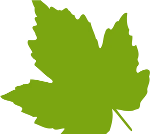 Vibrant Green Maple Leaf Graphic PNG image