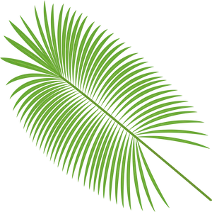 Vibrant Green Palm Leafon Blue Background PNG image