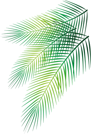 Vibrant Green Palm Leaves Graphic PNG image