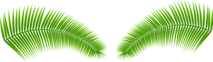 Vibrant Green Palm Leaves PNG image