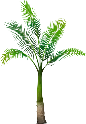 Vibrant Green Palm Tree Illustration PNG image