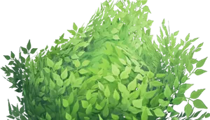 Vibrant Green Shrubbery