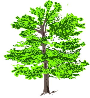 Vibrant Green Tree Illustration