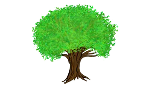 Vibrant Green Tree Illustration