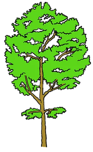 Vibrant Green Tree Illustration