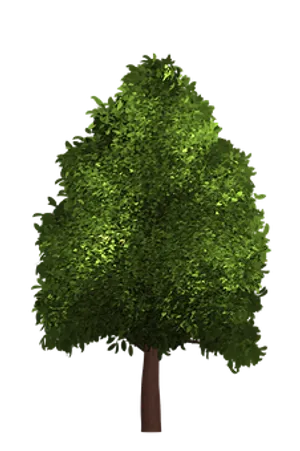 Vibrant Green Treeon Black Background
