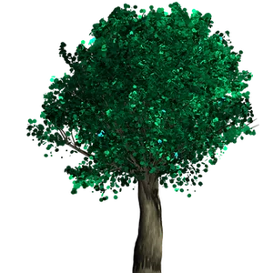 Vibrant Green Treeon Black Background