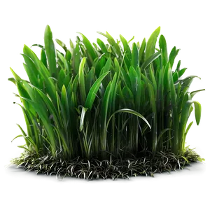 Vibrant Green Turf Grass Png Whv PNG image