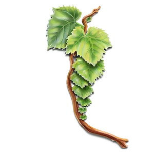 Vibrant Green Vine Illustration PNG image