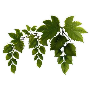 Vibrant Green Vine Leaves PNG image