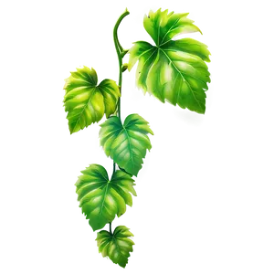 Vibrant Green Vine Leaves PNG image