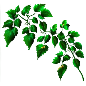 Vibrant Green Vine Leaves PNG image