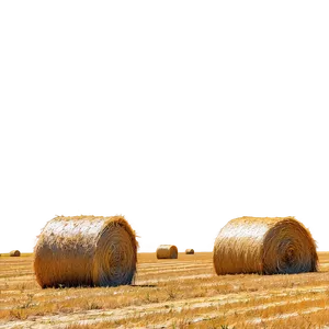 Vibrant Hay Field Png Vgt51 PNG image