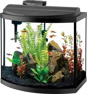 Vibrant Home Aquarium Setup PNG image