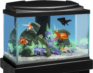 Vibrant Home Aquarium Setup PNG