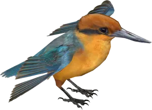 Vibrant Kingfisher Isolated PNG image