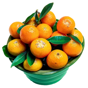 Vibrant Kumquat Png 62 PNG image