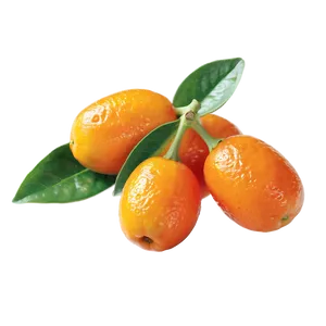 Vibrant Kumquat PNG Fje52