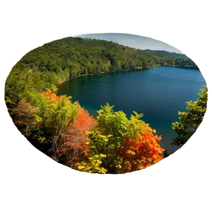 Vibrant Lakeside Foliage PNG Jqs PNG