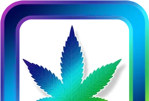 Vibrant Leaf Clipart PNG image