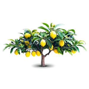 Vibrant Lemon Tree Art Png 4 PNG image