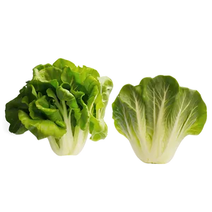 Vibrant Lettuce Png Jqg90 PNG image