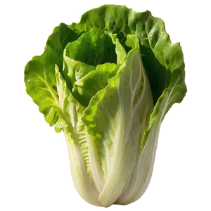 Vibrant Lettuce Png Scj PNG image