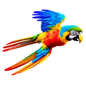 Vibrant Macaw In Flight PNG 06122024 PNG