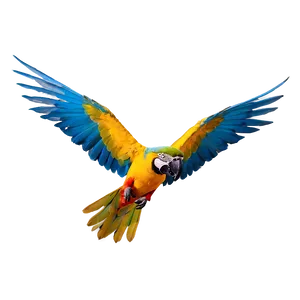 Vibrant Macaw In Flight PNG Iqv44 PNG