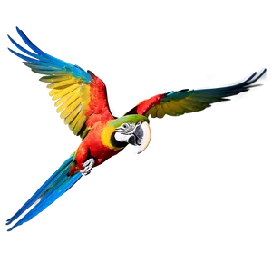 Vibrant Macaw In Flight PNG Xmk PNG
