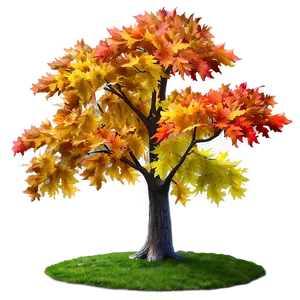 "vibrant Maple Tree PNG" 04302024