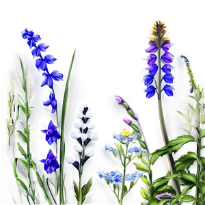 Vibrant Meadow Wildflowers PNG 42 PNG