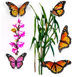 Vibrant Monarch Butterflies PNG Glq74 PNG