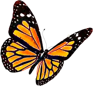 Vibrant Monarch Butterfly Art PNG image