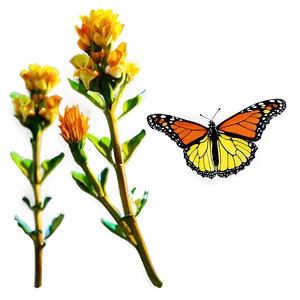 Vibrant Monarch Butterfly Png 05252024 PNG image