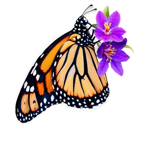 Vibrant Monarch Butterfly PNG Aoj
